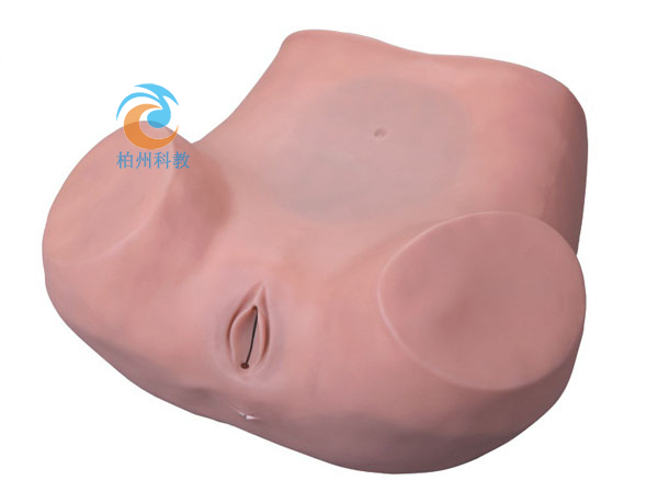 ꎵ���������̱O(ji��n)�y����ָ��(d��o)ģ��