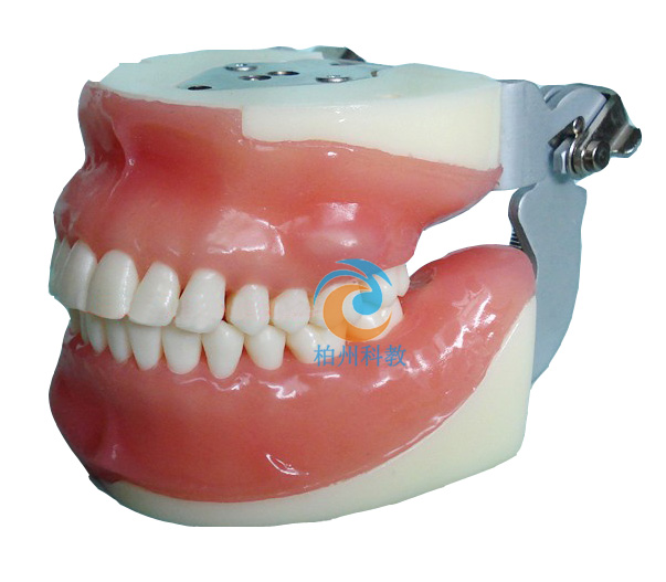 ��ǻ��ƾC�ό���ģ��