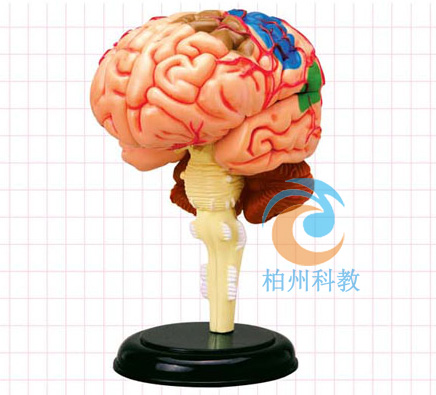 �X�Y(ji��)��(g��u)ģ��