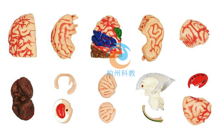 �X�Y(ji��)��(g��u)ģ��