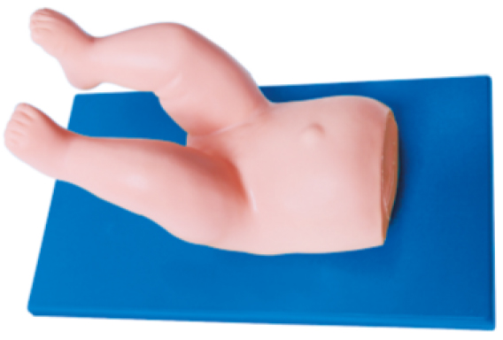 �냺�y�P(gu��n)��(ji��)��(f��)λ����ģ��