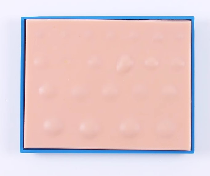 ē�[���_�����g(sh��)ģ�K