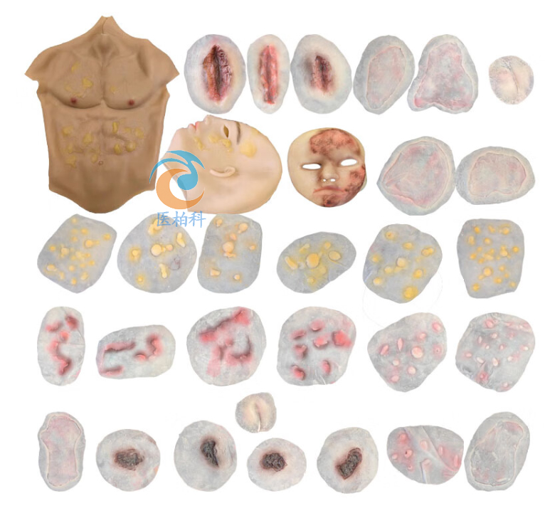 ����ʬF(xi��n)ģ�M����(��������)