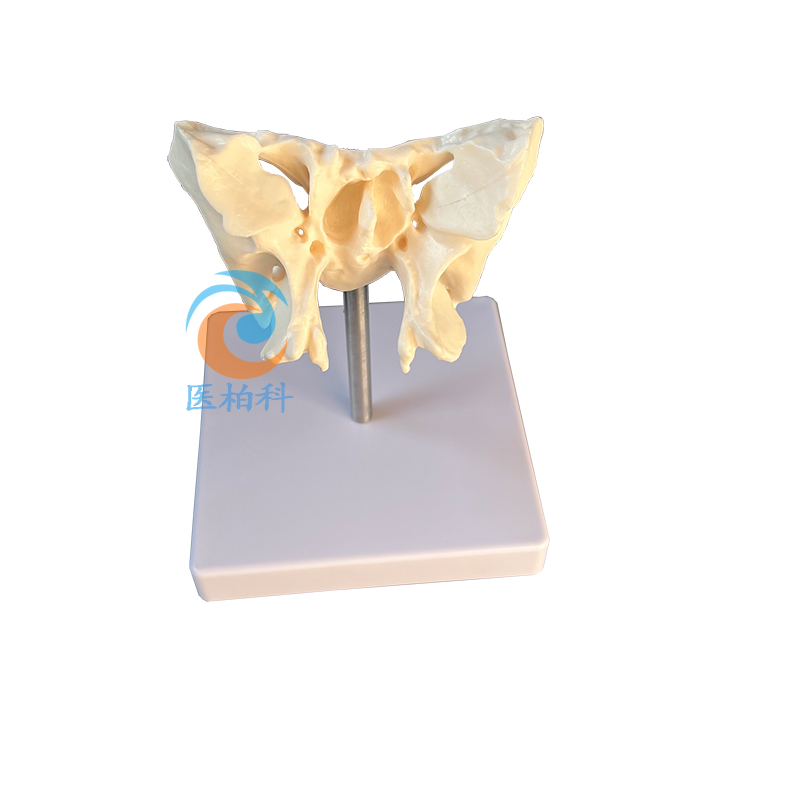 ����ģ�� 