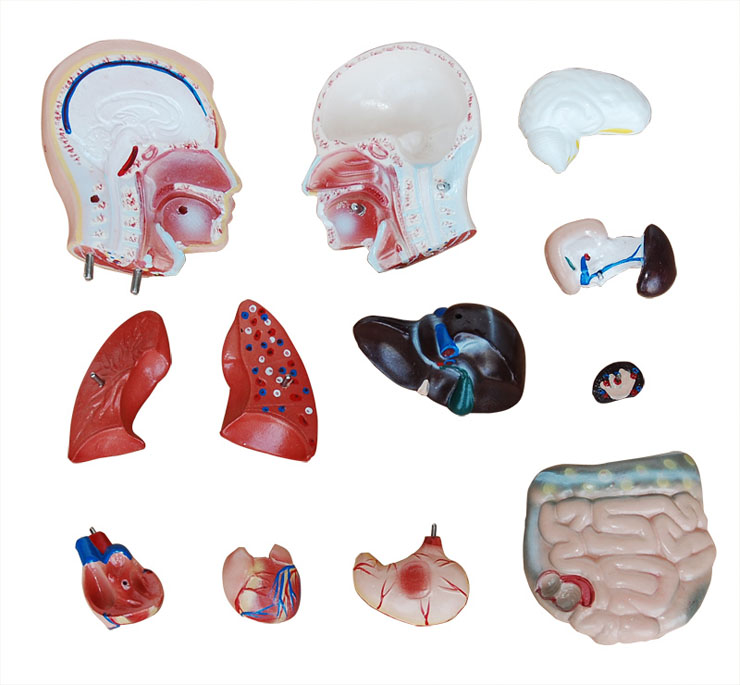 �����|��ģ��42CM(13��)