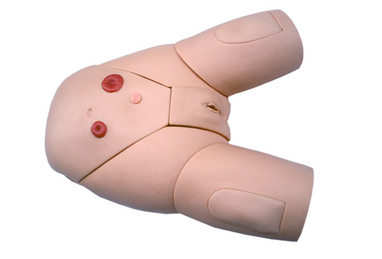 Ů�Ԍ�(d��o)��ʾ��ģ��