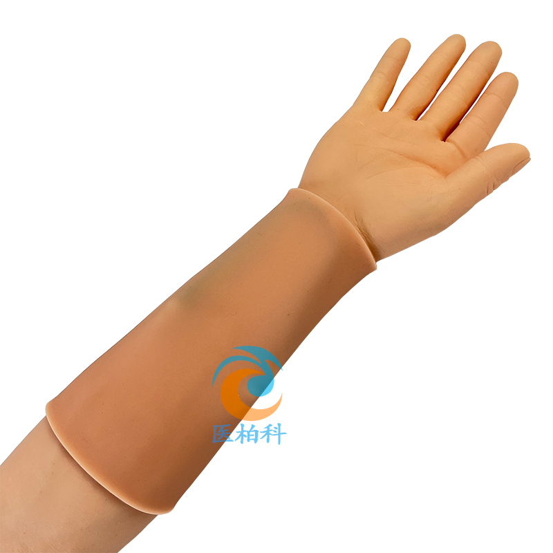 ��(d��ng)�o�}��(n��i)������Ӗ(x��n)���ֱ�ģ��