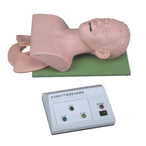 ������w��ܲ��Ӗ(x��n)��ģ��