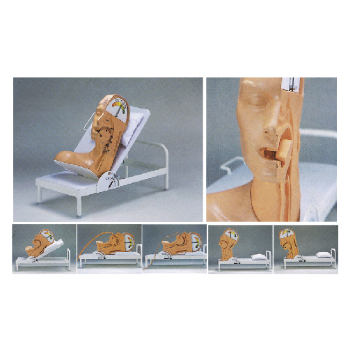 �߼����ʙC��ģ��