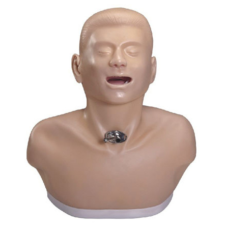 �߼�(j��)���˚�����_�o(h��)��ģ��