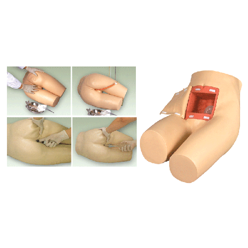 �߼����c���o���ű�Ӗ��ģ��