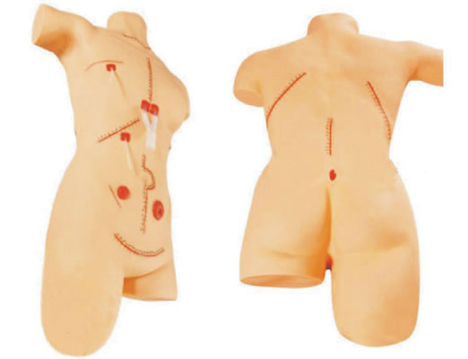 ��ƶ๦��ģ�M��