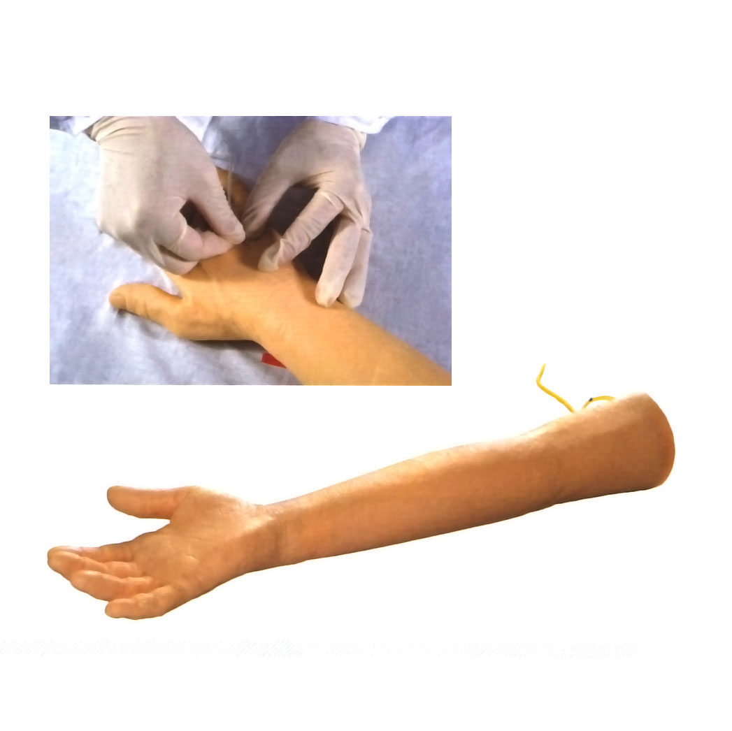 �߼��������o�}����Ӗ���ֱ�ģ��