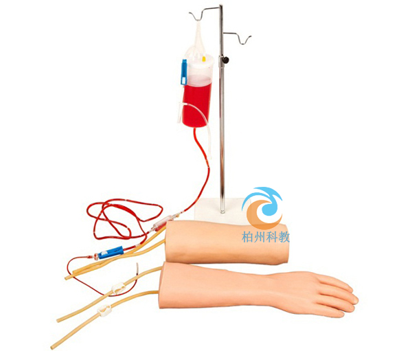 �ֲ����ⲿ�M��ʽ�o�}ݔҺ��Ѫ��Ӗ��ģ��