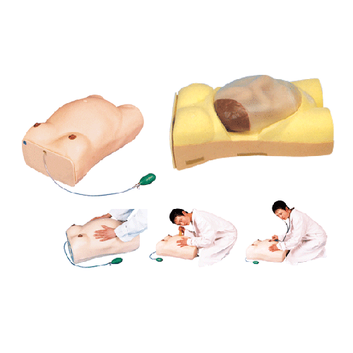 電腦孕婦檢查模型