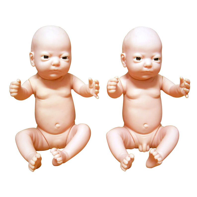 �߼������냺ģ��