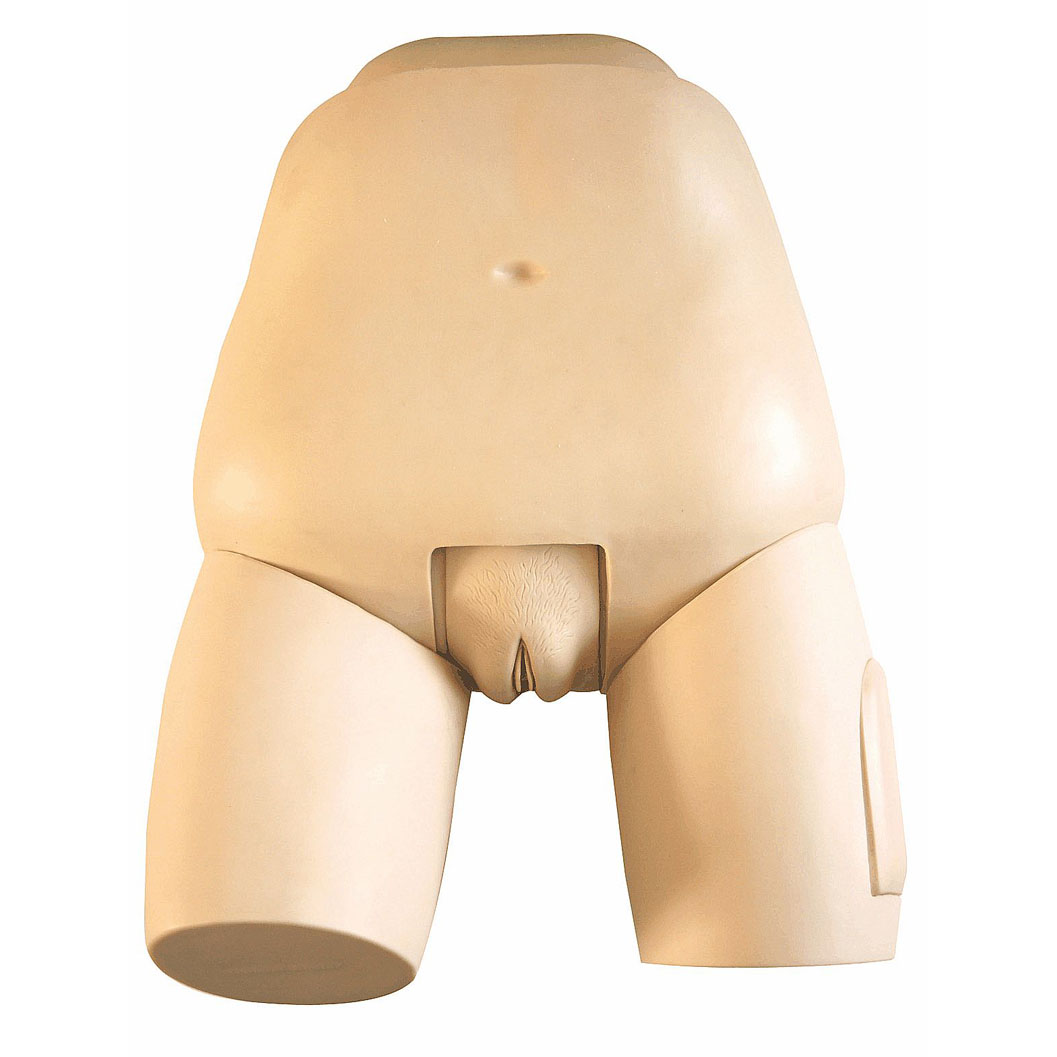 �߼�(j��)�ӌm�יz���u(p��ng)��ģ��