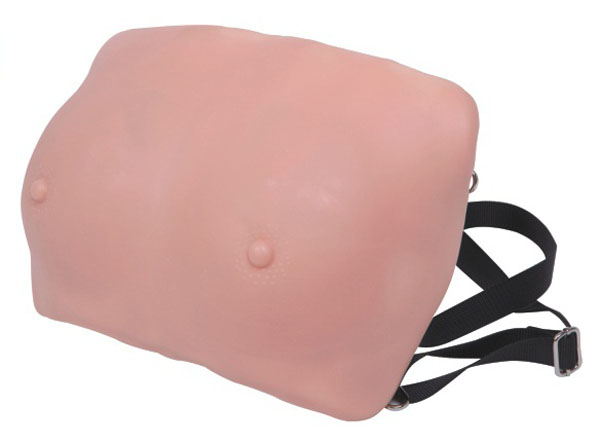 �߼��鷿�z��ģ��