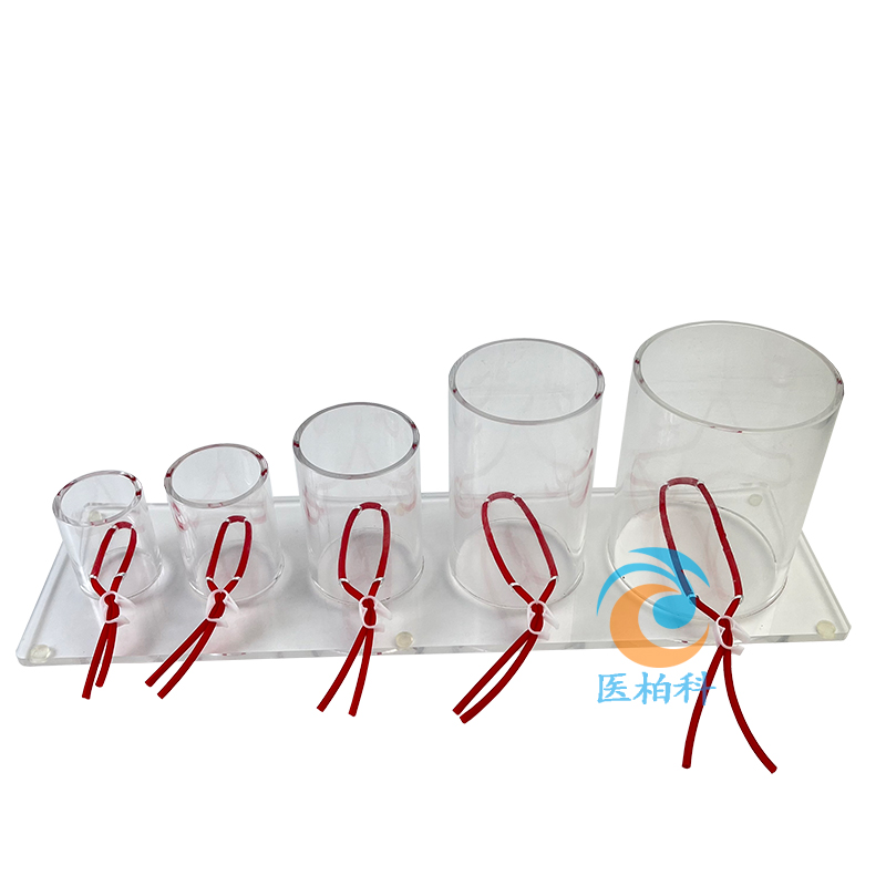 �������Y(ji��)����Ӗ(x��n)��ģ��