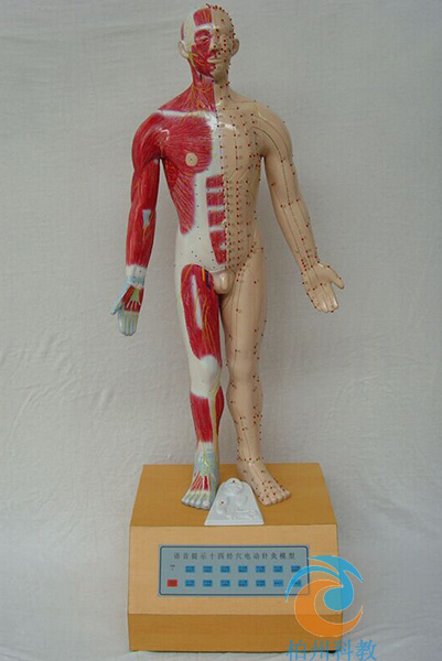 늄��Z��ʮ��ᘾ�ģ��