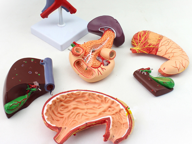 ����đ������Ƣ��θ��ʮ��ָ�cģ��