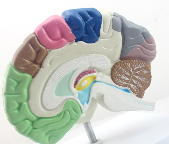 �Ұ�߅���X���ܷօ^(q��)ģ��