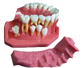 ���аl(f��)��ģ��C