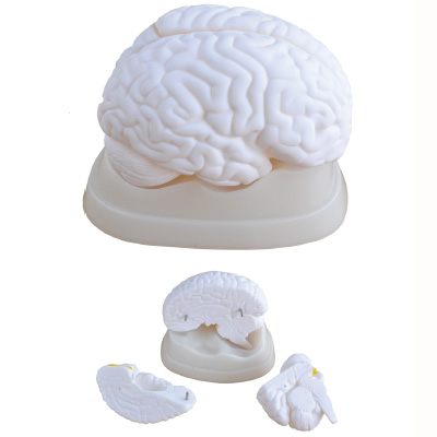 �X����ģ��