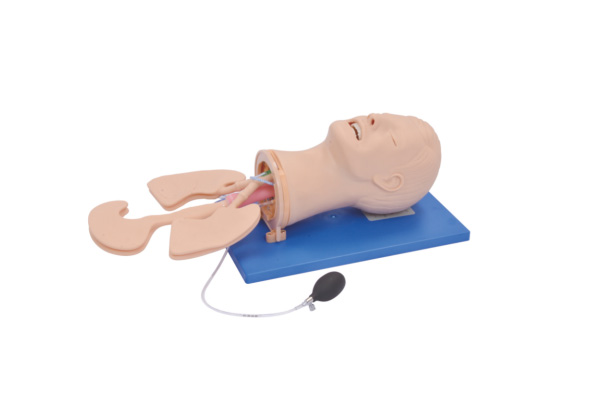 �߼�(j��)�๦�ܚ������ģ��