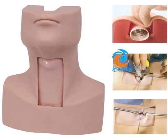 �߼�������_���Ӗ(x��n)��ģ��