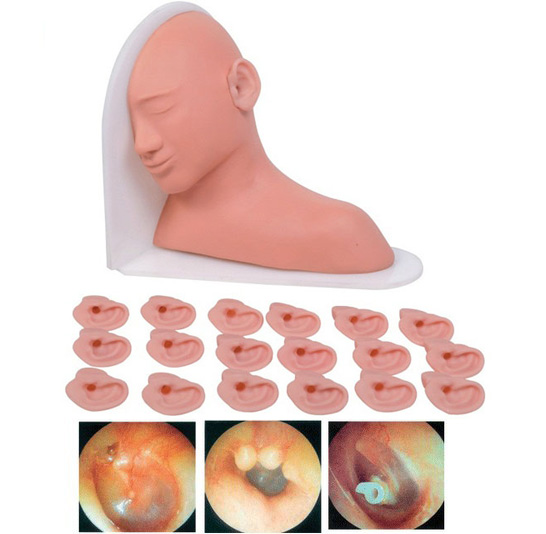 �߼�(j��)�����z��ģ��