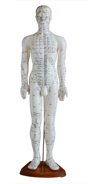 ���wᘾ�ģ��60CM