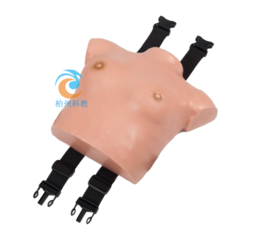 高級著裝式乳房自檢模型