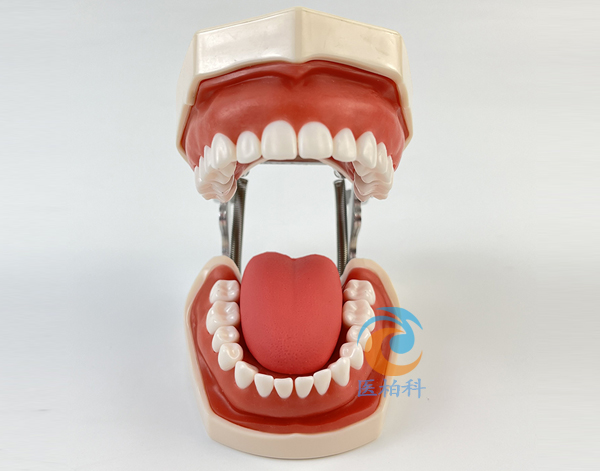 ���A�����o������ģ��