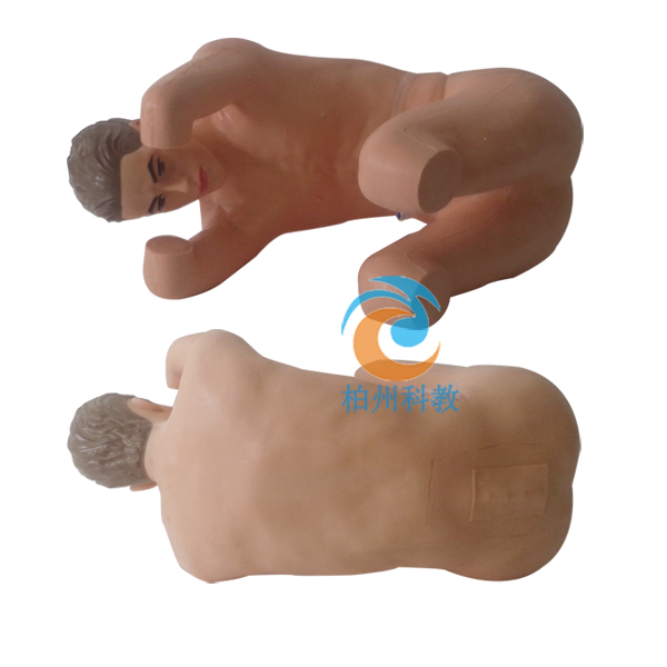 ��������ģ�M��