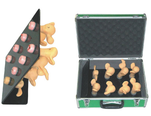 �߼�(j��)�ӌm�m�i��׃ģ��