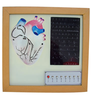 ���K����(d��o)ϵ늄�ģ��