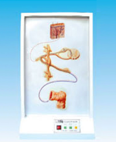 ������(j��ng)�w�S�߄�(d��ng)늄�(d��ng)ģ��