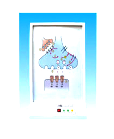 ��(j��ng)ϵ�y(t��ng)�Ļ��W(xu��)ͨ·늄�ģ��