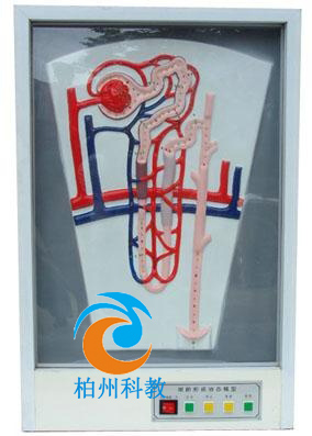 ����γɄӑB(t��i)ģ��