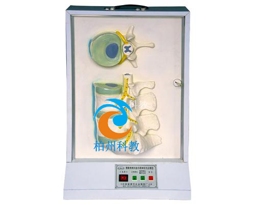 ����׵��׵�g�P�ͼ���(j��ng)늄�(d��ng)ģ��