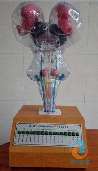 �X��ˮƽ�к���(j��ng)�����w�P(gu��n)ϵ늄�(d��ng)ģ��