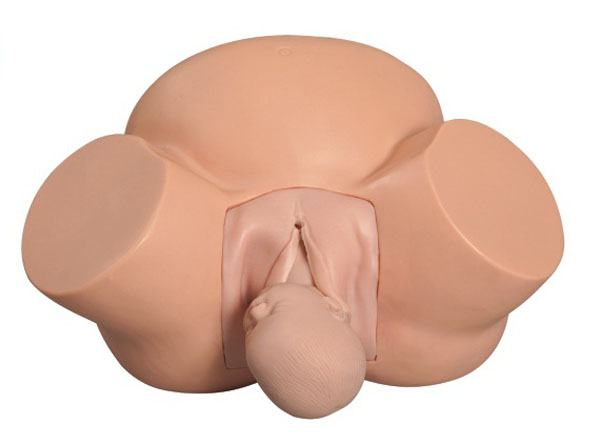 �߼�(j��)���a(ch��n)Ӗ(x��n)��ģ��