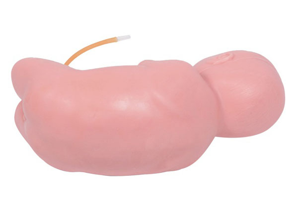 �߼��냺��׵����ģ��