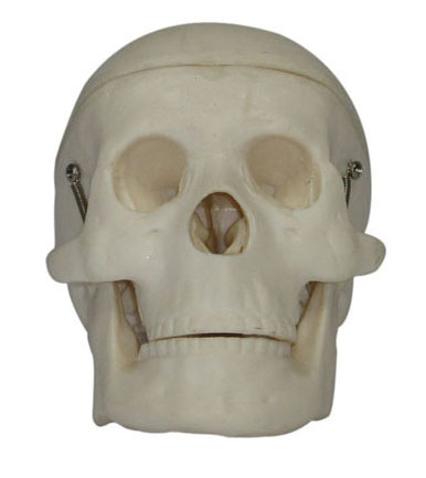 С���^��ģ��