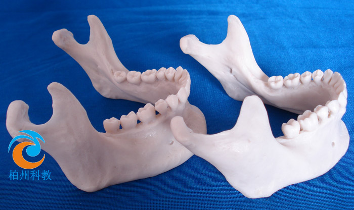 �������M��ģ��