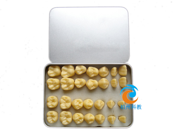 �o(w��)���o(w��)�����wģ�ͣ�2����