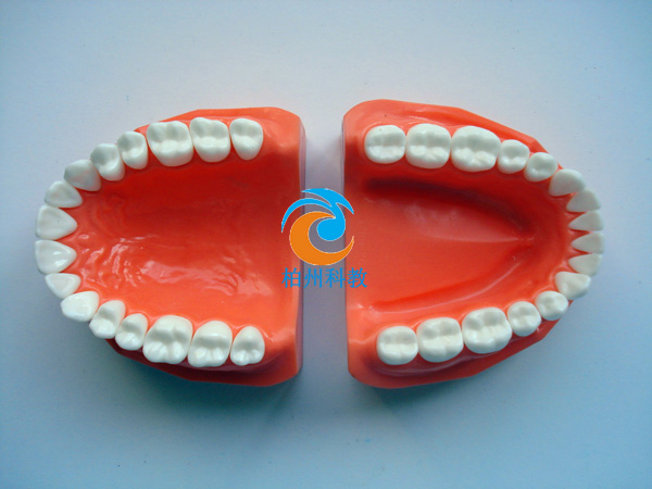 �pɫ����ģ��