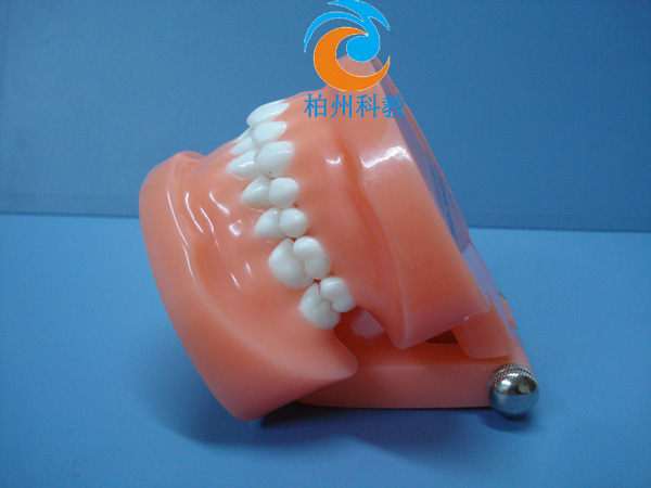 �pɫ����ģ�ͣ����M�ܣ�