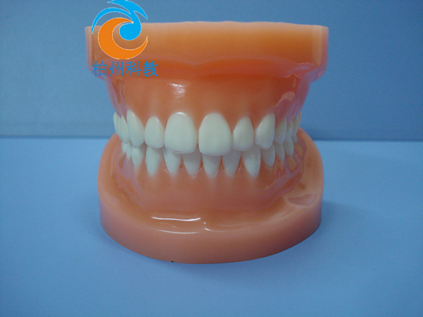 �pɫ����ģ�ͣ����M�ܣ�